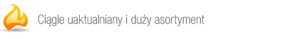 Ciągle uaktualniany i duży asortyment